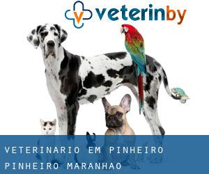 veterinário em Pinheiro (Pinheiro, Maranhão)