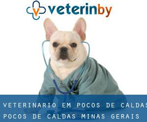 veterinário em Poços de Caldas (Poços de Caldas, Minas Gerais)