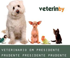 veterinário em Presidente Prudente (Presidente Prudente, São Paulo)