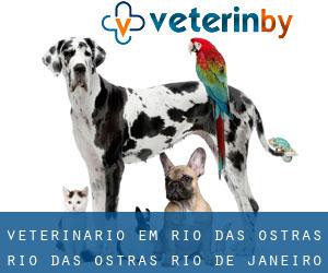 veterinário em Rio das Ostras (Rio das Ostras, Rio de Janeiro)