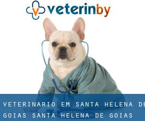 veterinário em Santa Helena de Goiás (Santa Helena de Goiás, Goiás)