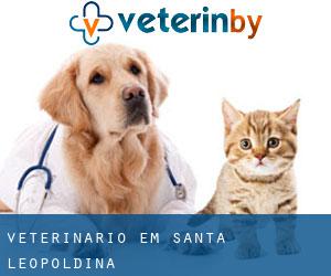 veterinário em Santa Leopoldina