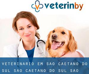 veterinário em São Caetano do Sul (São Caetano do Sul, São Paulo) - página 2