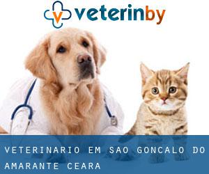 veterinário em São Gonçalo do Amarante (Ceará)