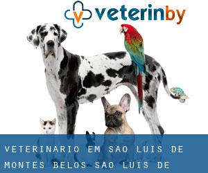 veterinário em São Luís de Montes Belos (São Luís de Montes Belos, Goiás)