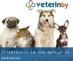 veterinário em São Mateus do Maranhão