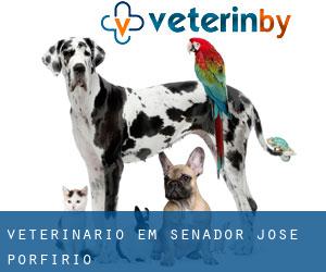 veterinário em Senador José Porfírio