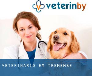veterinário em Tremembé