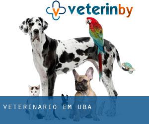 veterinário em Ubá