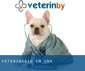 veterinário em Una