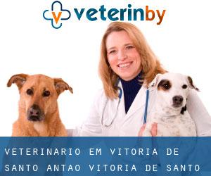 veterinário em Vitória de Santo Antão (Vitória de Santo Antão, Pernambuco)